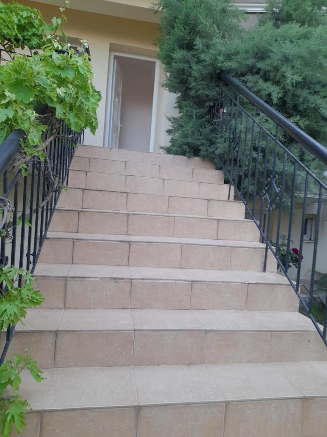 Villa Leopard Stavros  Luaran gambar